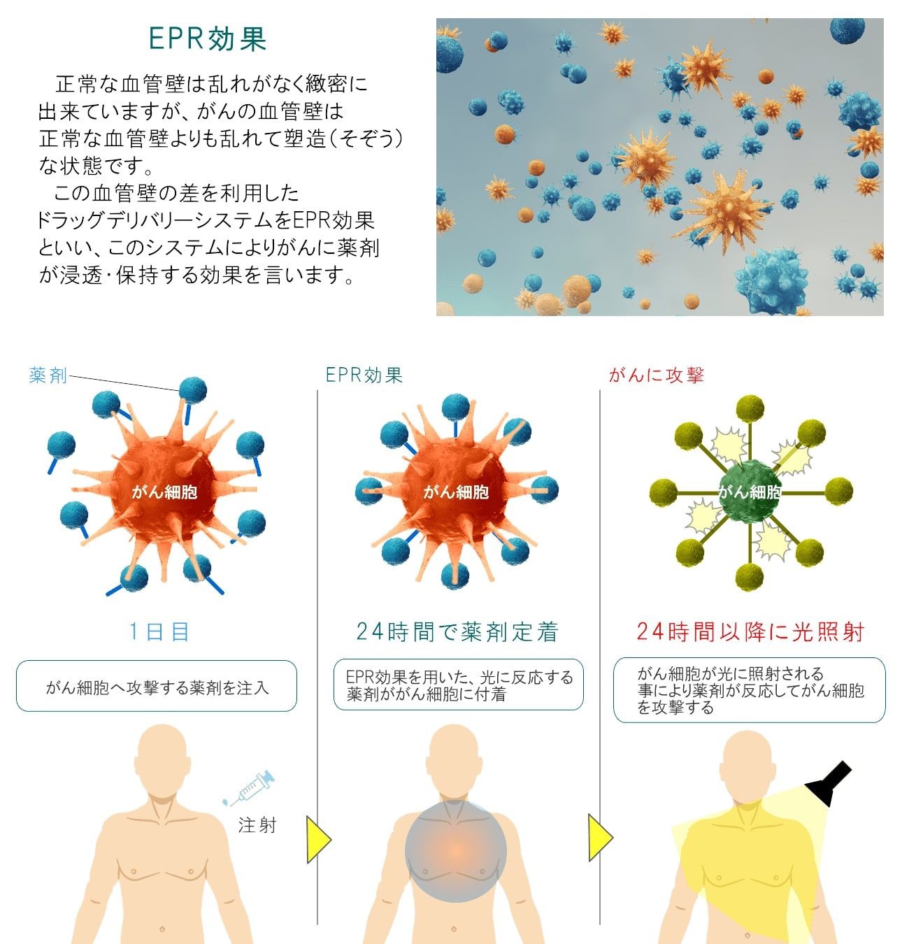 当院の光免疫療法とは